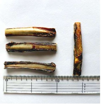 オールフォー・ワン 国産100%鹿スペアリブ 40g