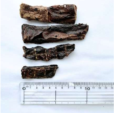 オールフォー・ワン 国産100%鹿ラング(肺)ジャーキー 30g