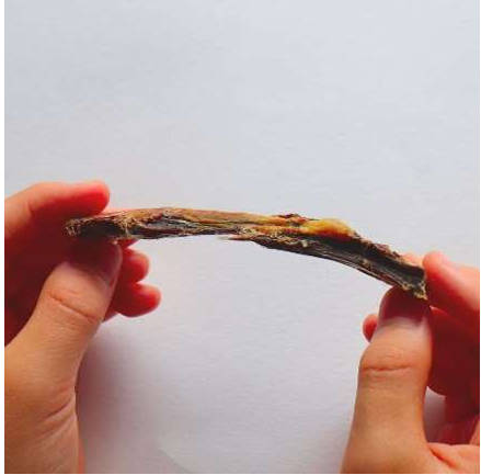 オールフォー・ワン 国産100%鹿スペアリブ 40g